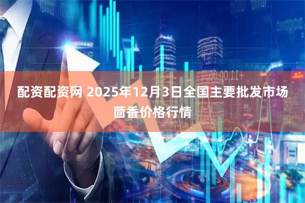 配资配资网 2025年12月3日全国主要批发市场茴香价格行情